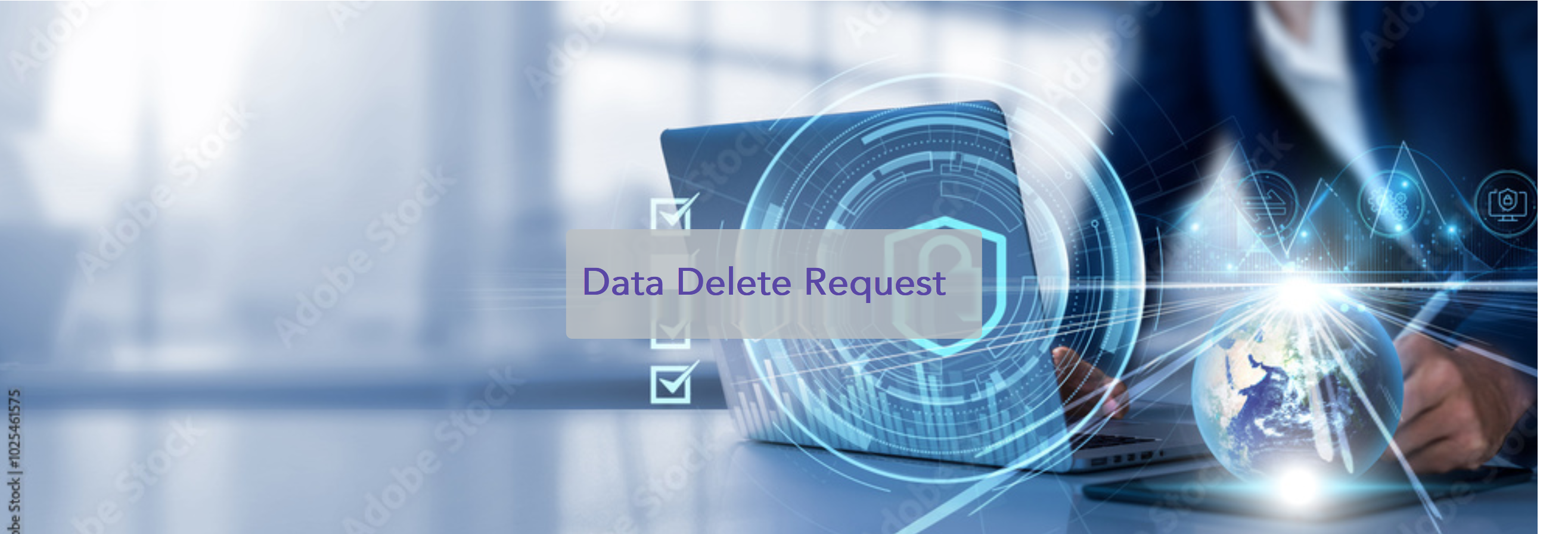 Data Delete Request
